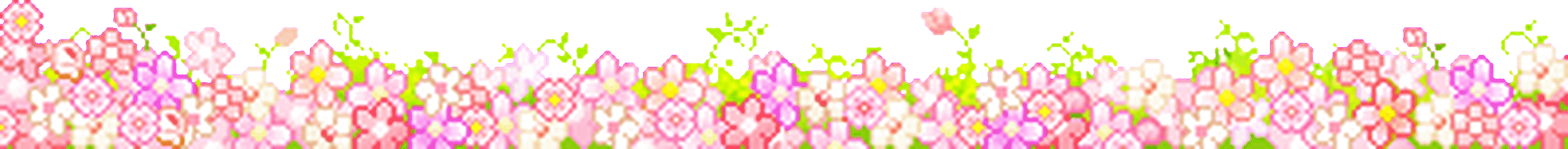 flower flower